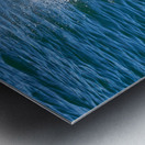 Orca Blowing Bubbles Metal print