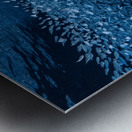 Schooling Fish Swallows Cave Tonga Metal print