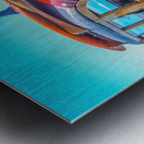 Santa Cruz Woodie Metal print