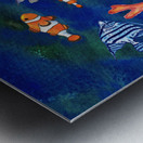 School Of Fish Angelfish And Clownfish Under Metal print