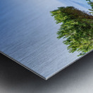 Ischia and Bougainvillea  Metal print