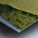 background of green algae on river  Metal print