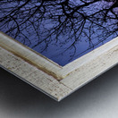 Colorful Tree White Farm House Window Portrai Metal print