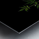Green Metal print
