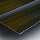 Roosevelt National Forest Wilderness Wonderla Metal print