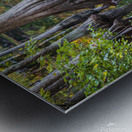 2022 Oct 20 MillPond02 Metal print