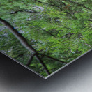 2022 Sept 27 ElliotCouesTrl02 Metal print