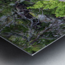 2022 Sept 27 NightHeron01 Metal print