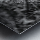 Pssst ...over here. Metal print