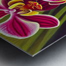 Flower garden Painting Metal print