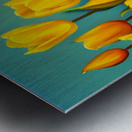 Flower garden Painting Metal print