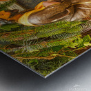 Christmas Nativity Scene  Metal print