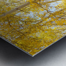 Golden Sunshine Autumn Day Metal print