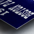 1966 Boston Patriots Art Metal print