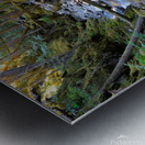 Breathing Forest - North Cascades National Park Metal print