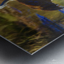 Sandhill Reflection Metal print