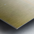 Full moon marina Metal print