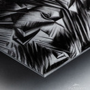 1737245C 8B12 4562 AC60 DD0373FA026D Metal print