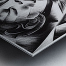 D6C41768 BFEA 4D4A AB75 3505481FA665 Metal print