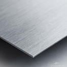 Inktober2022 Armadillo Metal print