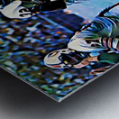 1976 Miami Dolphins Retro Remix Metal print