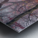 Walking the old path. Metal print