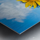 Windmill Garden Metal print