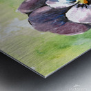 Pansies Metal print
