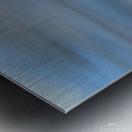 Blue Heron  Metal print