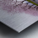 Rain of spring Metal print