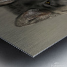 Luna ‘s Legacy  Metal print