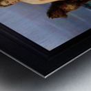 Kraka by Marten Eskil Winge Remastered Xzendor7 Classical Fine Art Old Masters Reproductions Metal print