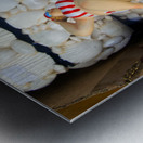 Three ladies of leisure Metal print