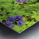 Purple flowers in greenery Metal print