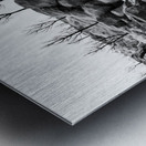 illusiOn Metal print