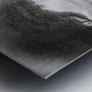 Autumnal Dream Metal print