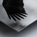 The sea eagle Metal print