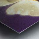 Jewel [ Winter Dream ] Metal print