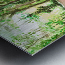 Haig Mill Park Trail Metal print