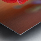 At the end of the day. Metal print