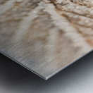 Frozen Leaf Metal print