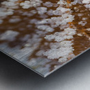Winter Leaf Metal print