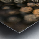 Pepper Metal print