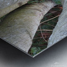 Among the Birches  Metal print