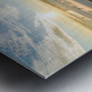 Winter View  Metal print