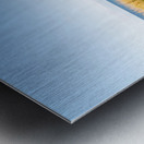 Footpath at the Baltic Sea Metal print