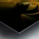 Circle Dance  Metal print