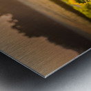 Sunflower Sunrise Metal print