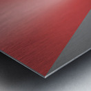 Wichita Flag Keeper of the Plains Metal print