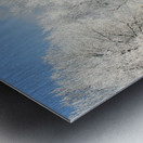 hoar frost on trees Metal print